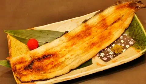 手焼きうなぎ　塩麹焼_0