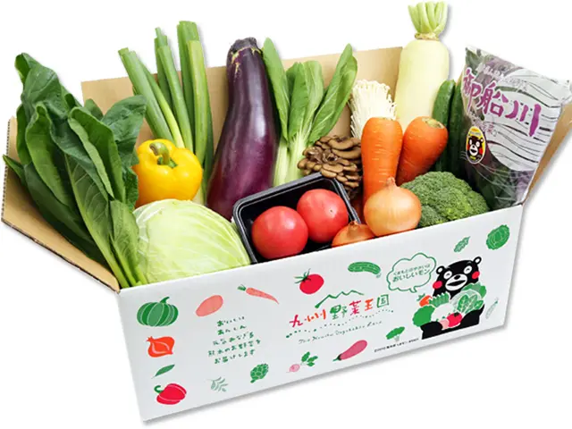 九州野菜王国「元気野菜セットお手軽（S）コース10品目」のお