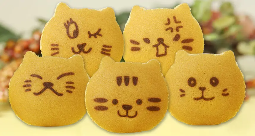食品　お菓子詰め合わせ　ドラ猫様分 猫さんどら焼き「ネコどら」5個入り 小豆餡 ギフト仕様 ネコのお