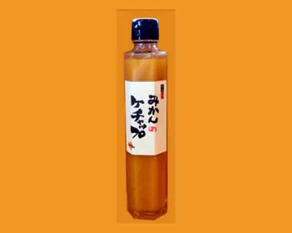 みかんのケチャップ　1,000g_0