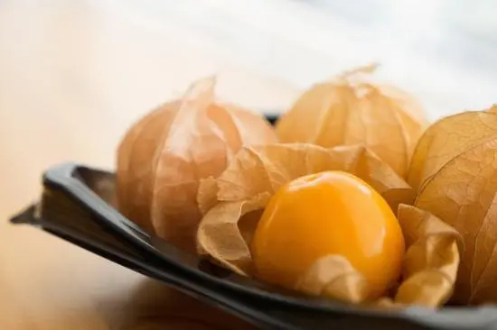 生食用ほおずき「オレンジチェリー」_0