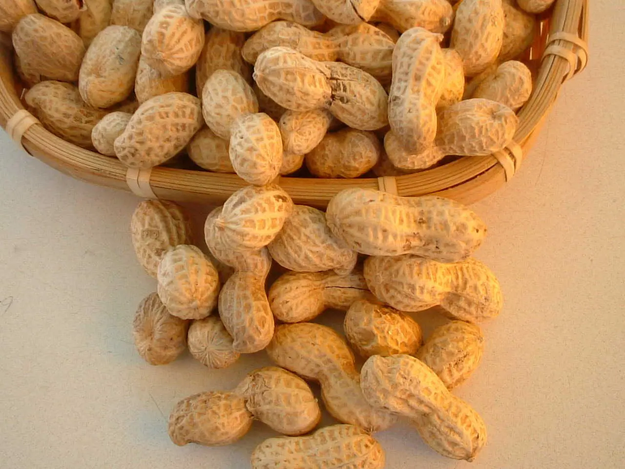 落花生　天日干し煎ざや(400g)_0