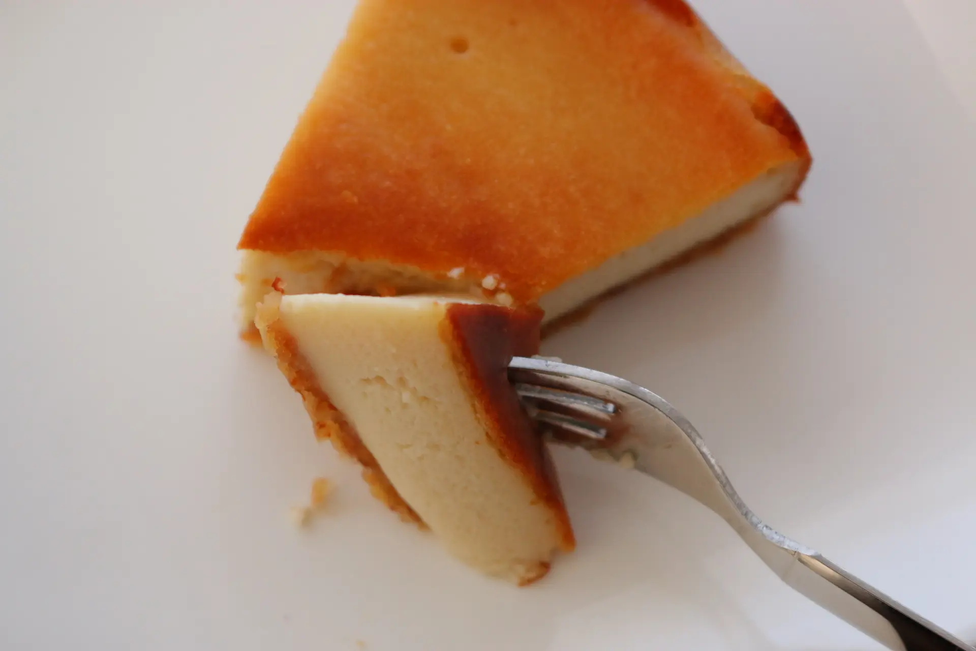 沖縄県産 島どうふと有機三河みりん粕のヴィーガンチーズケーキ_0