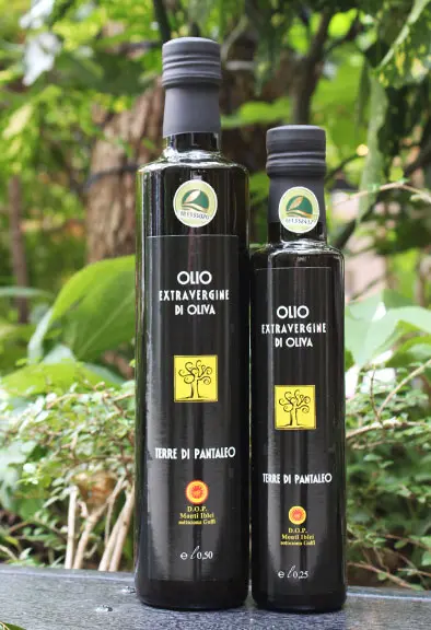 テッレ・ディ・パンタレオ D.O.P_0