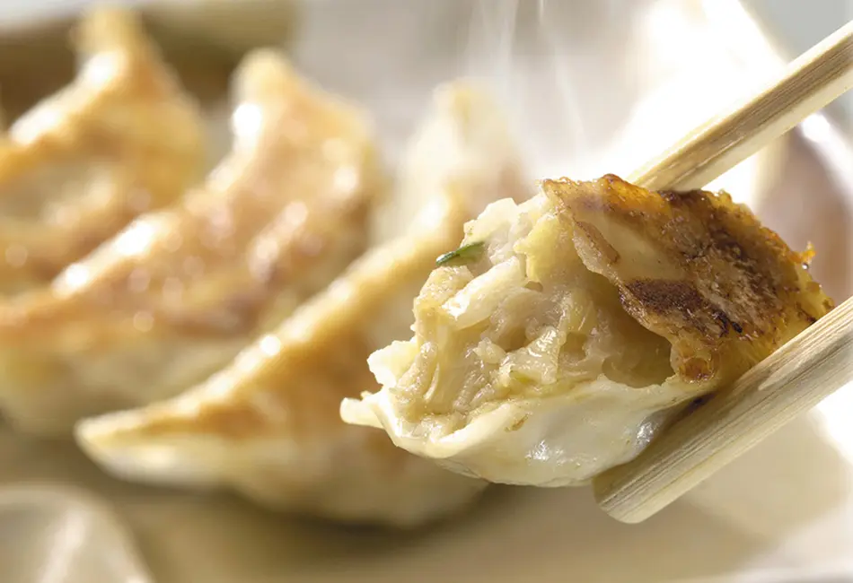 浜松餃子 14個入り_0