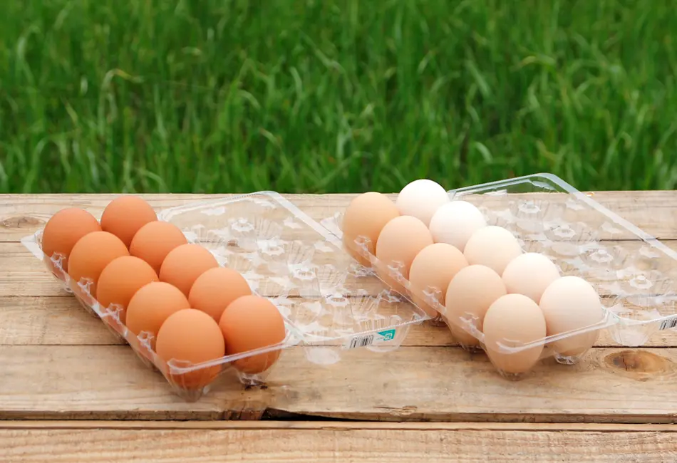 たまごお取り寄せセット_0