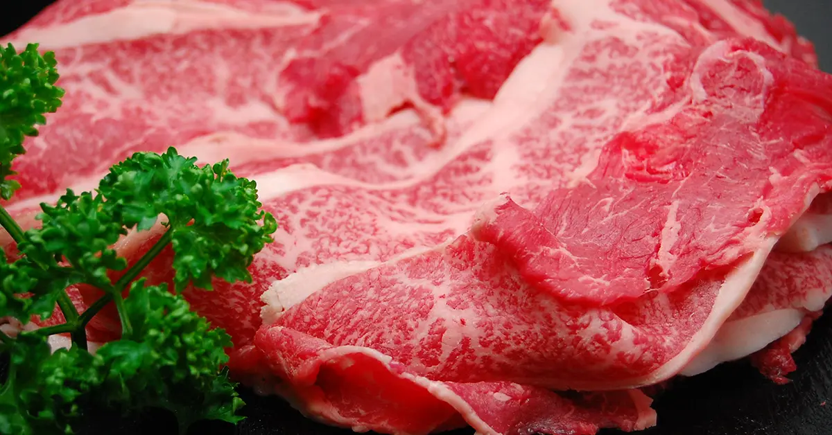 米沢牛切り落とし 500g（牛丼のタレ付）_0