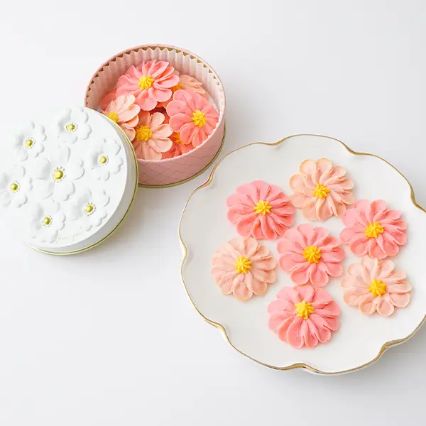 「お花のぼうろ3缶セット」コスモス_1