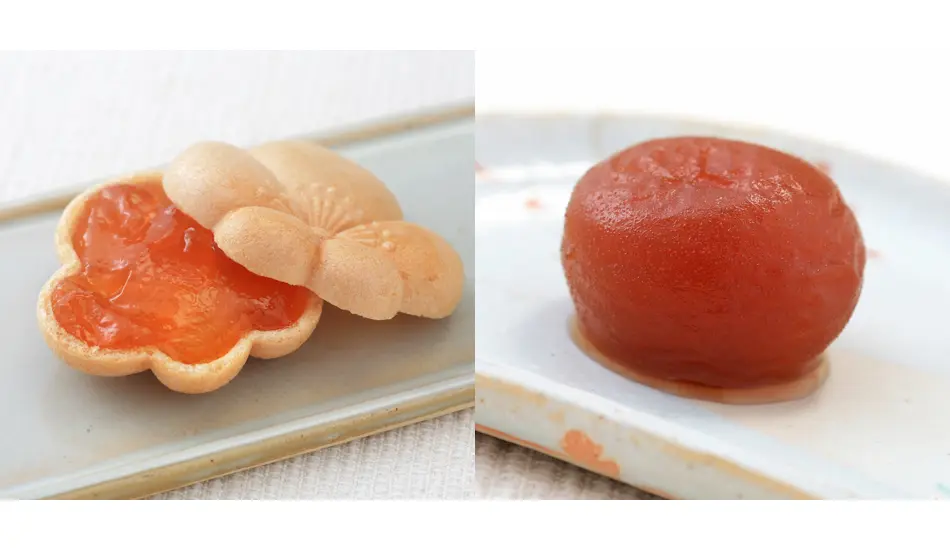 杏もなか・杏花の実セット（杏もなか5個・杏花の実4個）_0