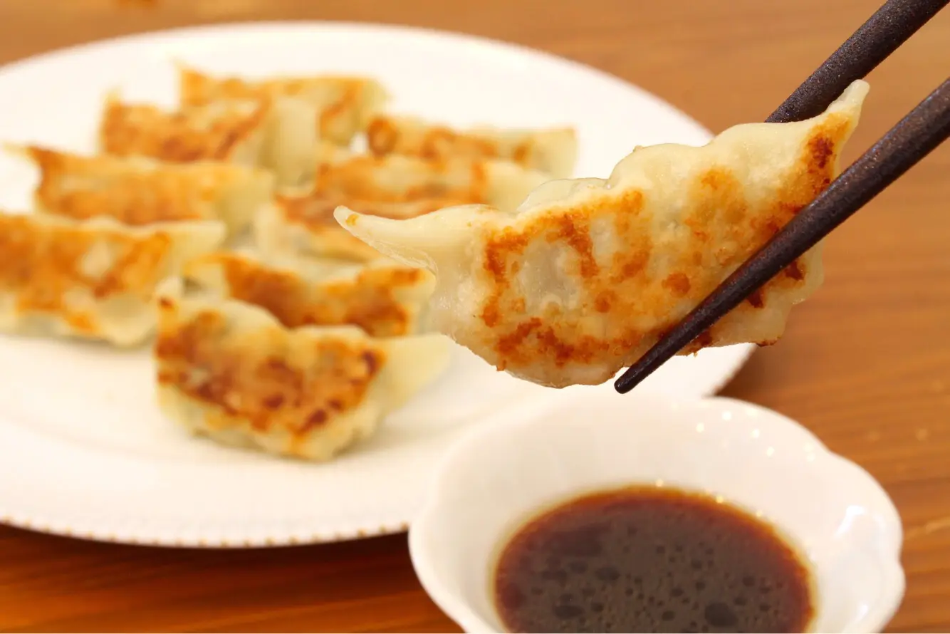 讃岐うどんで包んだ餃子　30個入りタレ付き_0