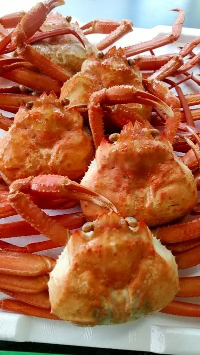 紅ずわい蟹5杯セット_0