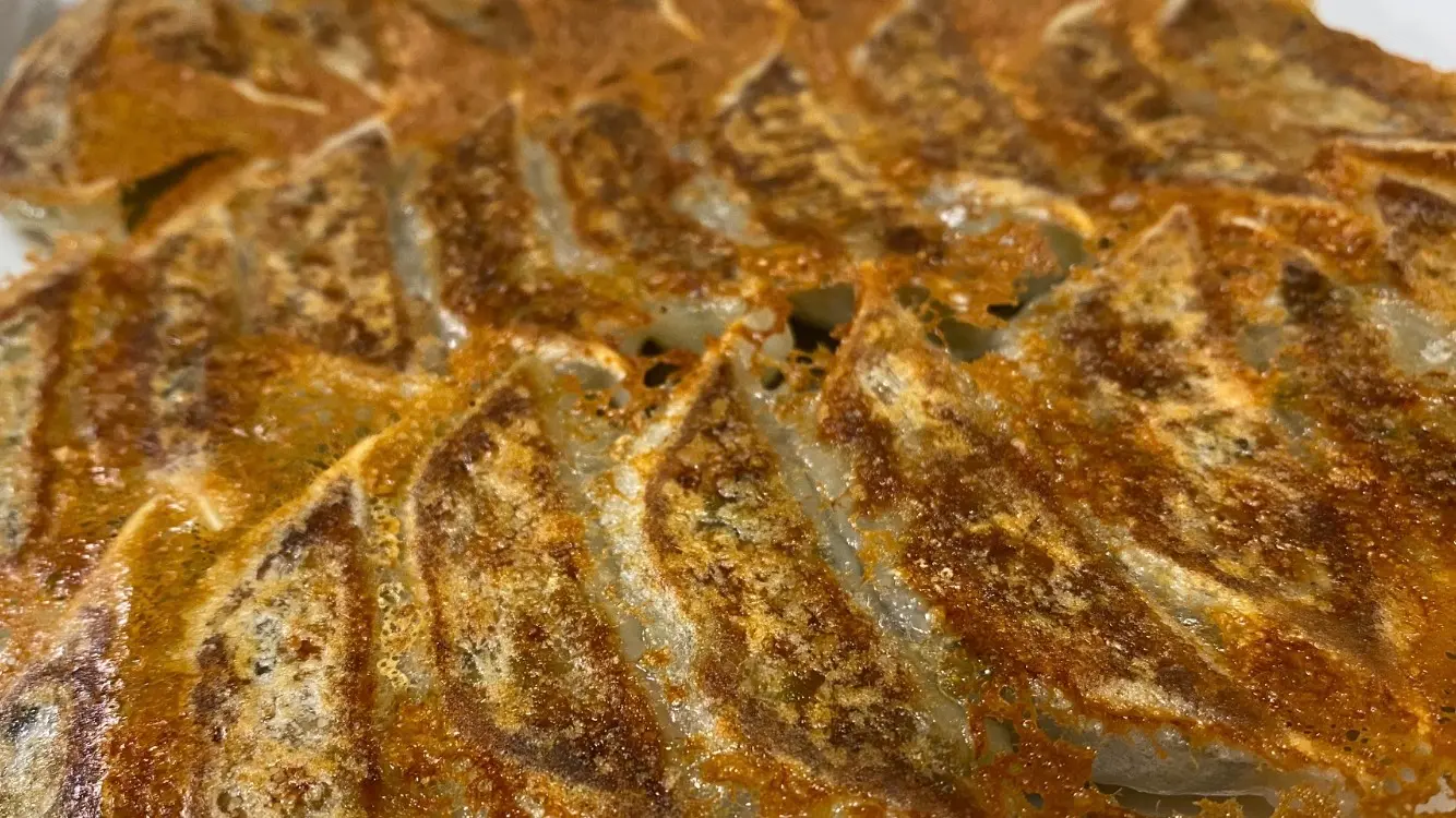 名物ひとくち冷凍餃子40個入り_0