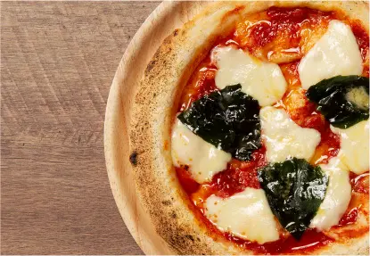 南の大地シリーズ THE PIZZA  選べる5枚セット_1