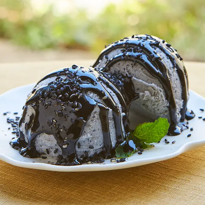 胡麻ジェラ-極- 5個入り（胡麻ジェラート）_0