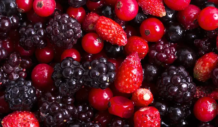 俺のフレンチ　赤い果実のドームタルト_2