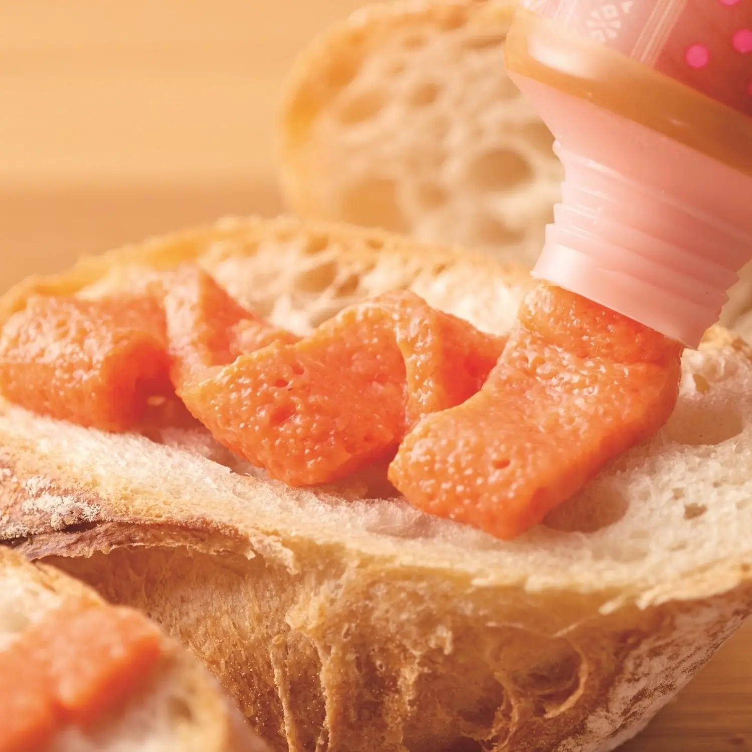 めんたいチューブ めんたいフランス_0