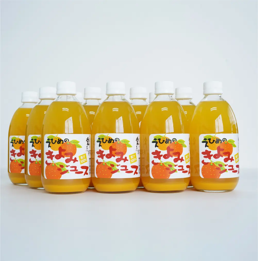 きよみストレートジュース 500ml×12本セット_0