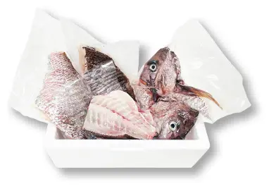 愛媛県産養殖真鯛 （お頭付き）３枚おろし_0