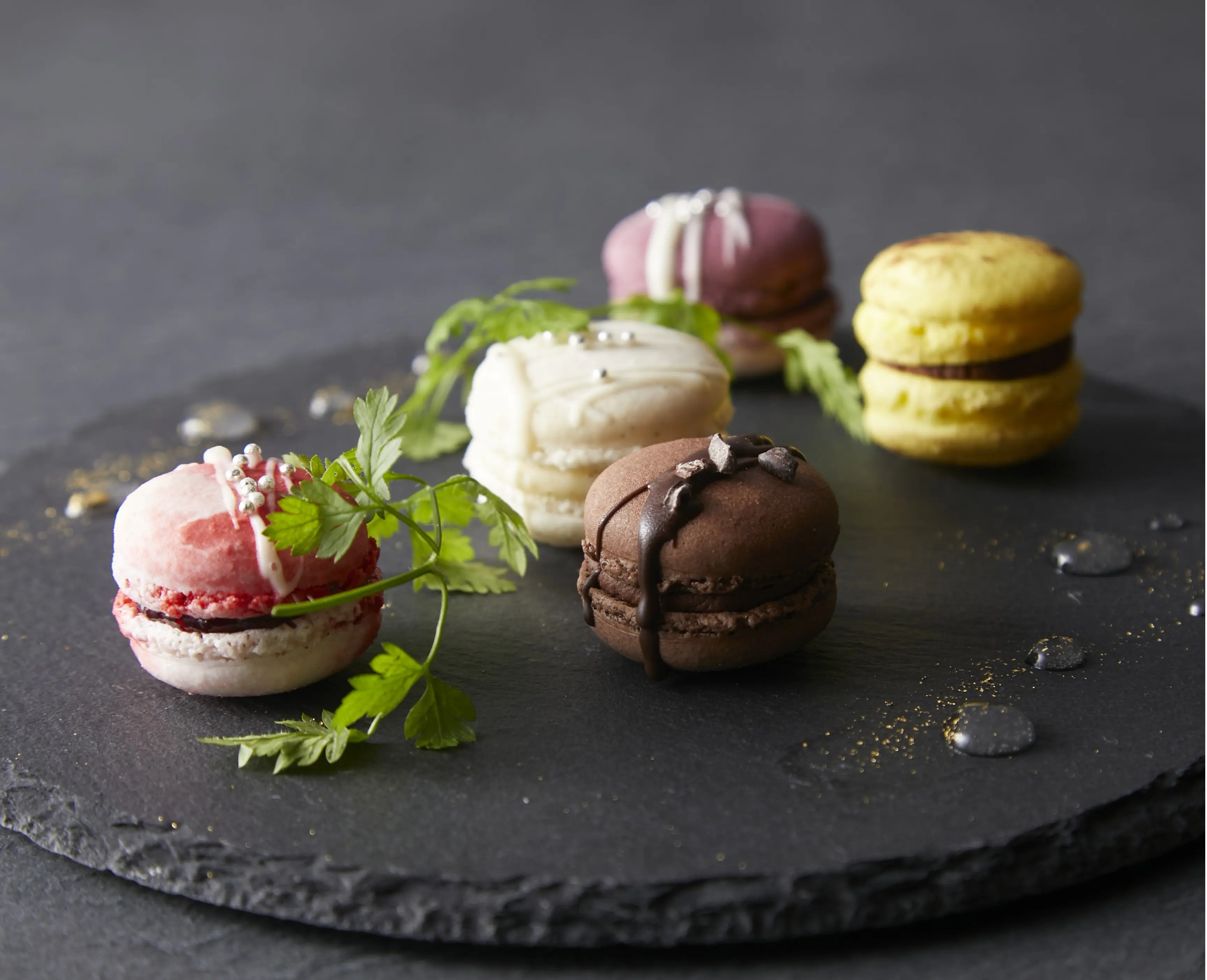 マカロンコレクション5_0