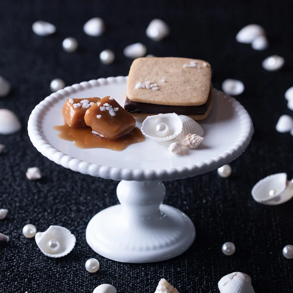 チョコレートサンド(バニラ・四日市抹茶・ビター・真珠の塩キャラメル各1個入)+ガトーショコラ(2本)セット_2