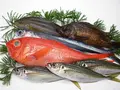 産地直送地魚お試しセット(越紋商店)