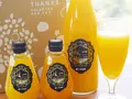 媛一(温州みかん・甘平・せとか) ストレート果汁100%ジュース(えひめ逸品)