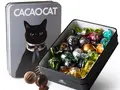 CACAOCAT缶 14個入り CAT(DADACA)