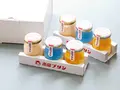 GIFT BOX 南国宮崎プリンセット 6(南国プリン)