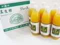 美生柑ジュース 6本セット(えひめ逸品)