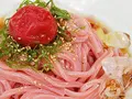 南高梅梅肉入　紀州冷し梅うどん（4食スープ付）(紀州ふみこ農園)