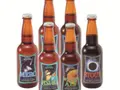 【6本セット】津山ビール 宇宙ラベルシリーズ(多胡本家酒造場)