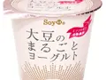 大豆のまるごとヨーグルト90g×12個(ホリ乳業)