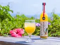 石垣島産プレミアム有機パイナップルジュース500ml×2本セット(やえやまファーム)