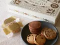 クッキーアソートメント(ダンデライオン・チョコレート)