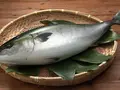 平戸なつ香ブリ（半身・真空パック・あら無し)1kg(平戸とれたてお魚市場)