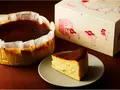 マール・ザ・チーズケーキ(京都　北山　マールブランシュ)