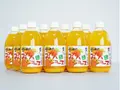 えひめのみかんストレートジュース 500ml×12本セット(えひめ逸品)