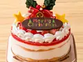 クリスマス仕様スカイベリーショートケーキ(いちごの里)