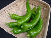 万願寺とうがらし（150グラム入）(京野菜 錦 川政)