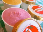 無添加 選べるこだわりセット6個入(手づくりアイスクリーム エル・シエロ)