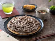 山形のさがえそば 8袋入(卯月製麺)