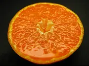 観音山姫小町みかん（とろコク一番人気）(観音山フルーツガーデン)