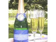 五一わいん　ナイヤガラスパークリングワイン　白　 720ｍｌ(ふじのや)