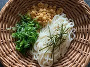 生うどん 細麺 5袋セット(添加物が少ない生うどんshop（トウエイ物産）)