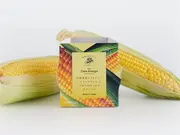 北海道産とうもろこし「スイートキッス」のつぶつぶたっぷりポタージュ(野菜をMOTTO)