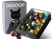 CACAOCAT缶 14個入り CAT(DADACA)