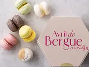 マカロン6個入(ベルグの4月)
