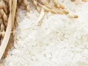 選べる便利で美味しい九州のお米（2kg）(おどろきっちん)