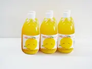 甘夏みかんストレートジュース 500ml×6本セット(えひめ逸品)