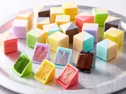 東京もなか 9個入(亀屋万年堂　ナボナ広場)